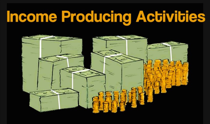 income producung activities