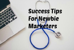 6 Success Tips For Newbie MarketersSMALL